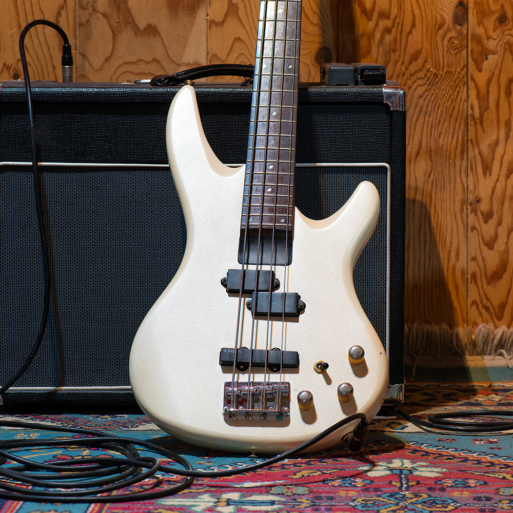guitar lessons for bass guitar